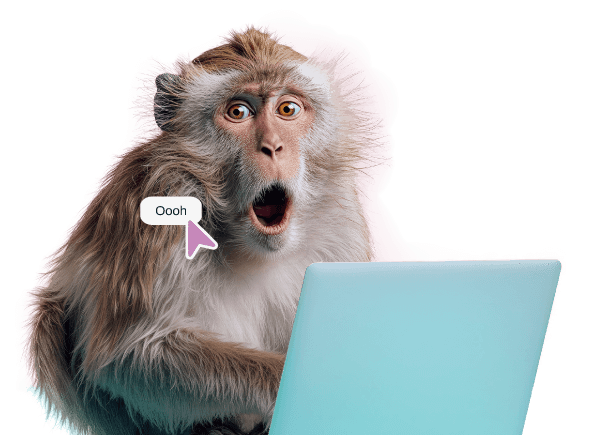 monkey-laptop